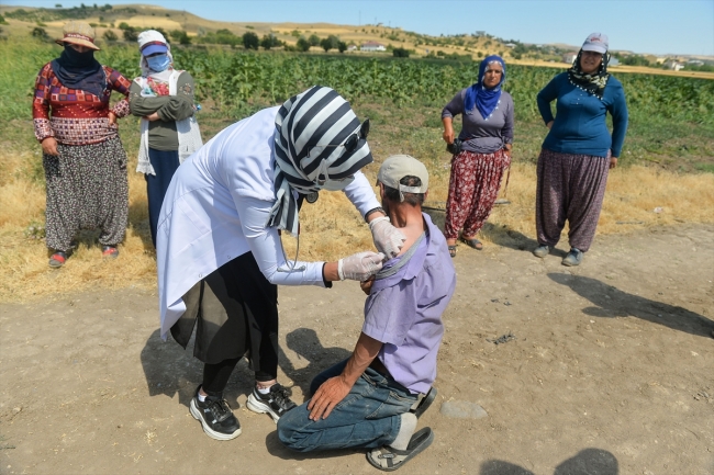 Mevsimlik işçiler aşıya gidemedi, sağlık ekipleri tarlaya indi